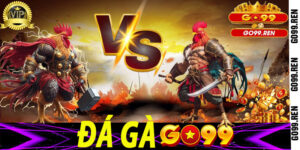 Đá Gà Go99 - Đẳng Cấp Chiến Kê, Thắng Lớn Đổi Đời!