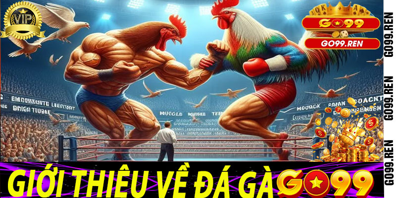 Giới thiệu về Đá Gà Go99