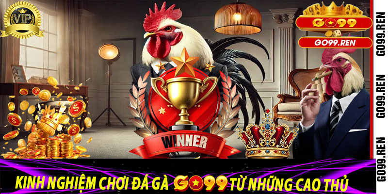 Kinh nghiệm chơi Đá Gà Go99 từ những cao thủ